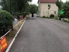 -顺鑫绿色度假村