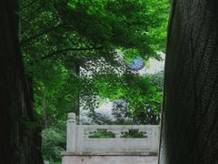 -虎跑公园