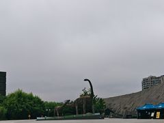 -安徽省地质博物馆