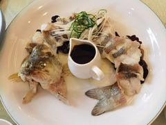 -博雅渔港·融合菜(维也纳国际大酒店)