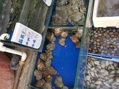 -香满居张记小厨私房菜(青岛站店)