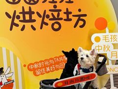 -帕帕拉兹宠物(亚洲旗舰店)