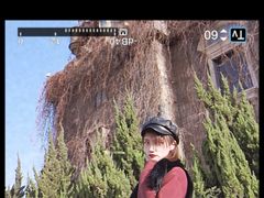 -泉城欧乐堡梦幻世界