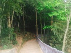 -石燕湖生态旅游景区