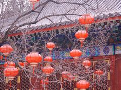 -香山公园