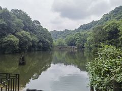 -青城山