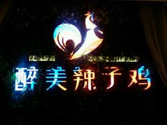 -天山醉美辣子鸡(文艺路店)
