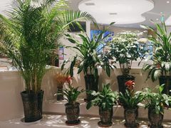 -马仕玖煲(万宴城店)