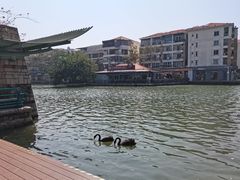 -大梅沙海滨公园