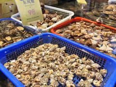 -新金盛·海鲜酒楼(盐田店)