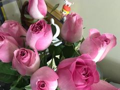 鲜花-盒马鲜生(馥邦国际店)