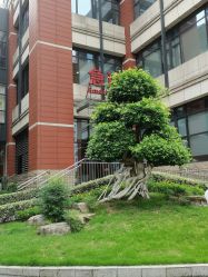 -重庆市妇幼保健院(冉家坝院区)