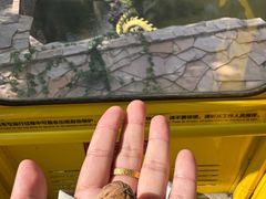 -黄崖洞文化旅游区
