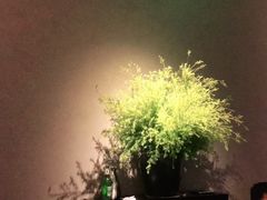 -山里亲戚(淞虹路店)