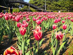 -长春公园(普阳街道)