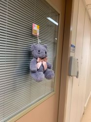 -杭州贝瑞斯美华妇儿医院·早孕·产检·儿科