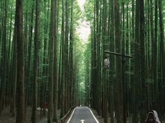 -山王坪喀斯特国家生态公园