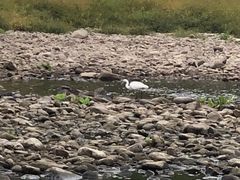 -楠溪江风景名胜区