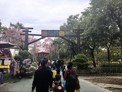 -广东花都香草世界旅游度假区