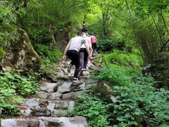 -青峰峡国家森林公园