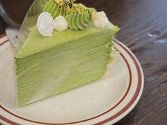 开心果千层-YIHOME(新河店)