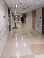 点击看大图 -杭州贝瑞斯美华妇儿医院·早孕·产检·儿科