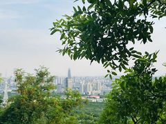 -千佛山风景名胜区