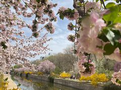 -海棠花溪(元大都城垣遗址公园)