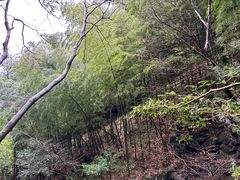 -藏龙百瀑风景区