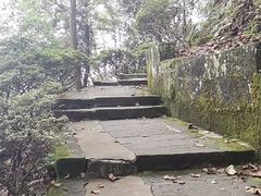 -大金鹰园
