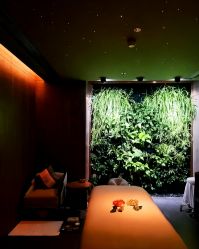 -VELEE·SPA高定疗愈会所