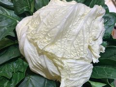 -思阁炭香火锅(学伟鑫城总店)