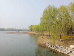 -大兴滨河森林公园