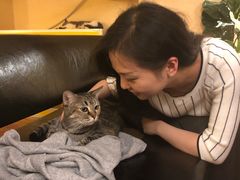 -猫友咖啡店(玉林西路店)