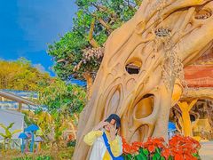 -三亚红色娘子军演艺公园景区