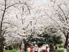 -堤角公园