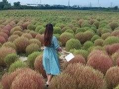 -映月湖中央公园