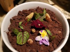 会长大的沙拉-绿茶餐厅(昌平悦荟店)