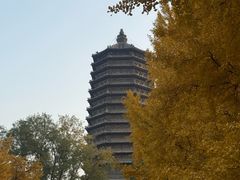 -玲珑塔公园