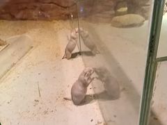 -正佳雨林生态植物园
