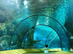 -福州罗源湾海洋世界旅游区