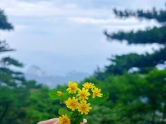 -天柱山风景区