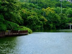 -深圳国际园林花卉博览园