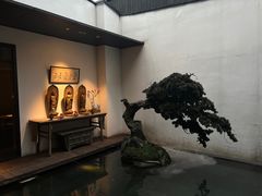 -觀芷隐轩