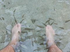 -碧水湾温泉