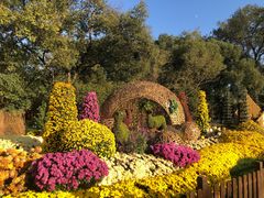 -上海共青森林公园