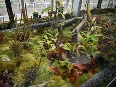 -国家植物园南园