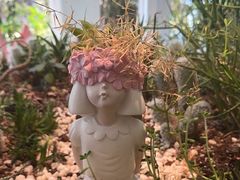 -春树下·树屋花房西餐厅(罍街AS1980店)