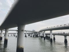 -演武大桥观景平台