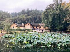 -韶山毛泽东同志故居